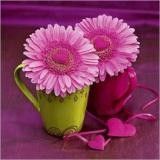 La poésie selon Eden